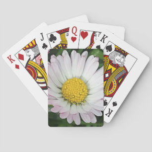  madeliefje pokerkaarten