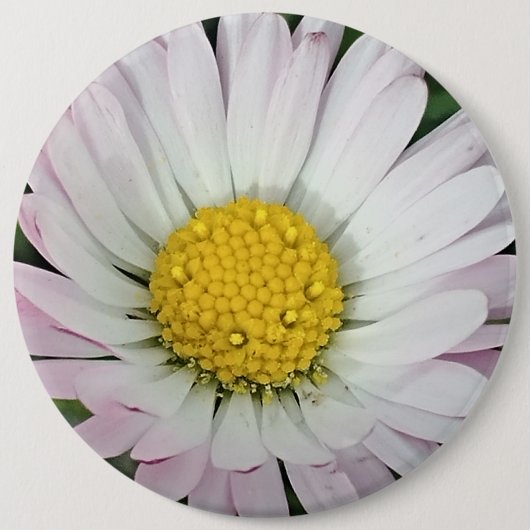  madeliefje ronde button 6,0 cm (Voorkant)