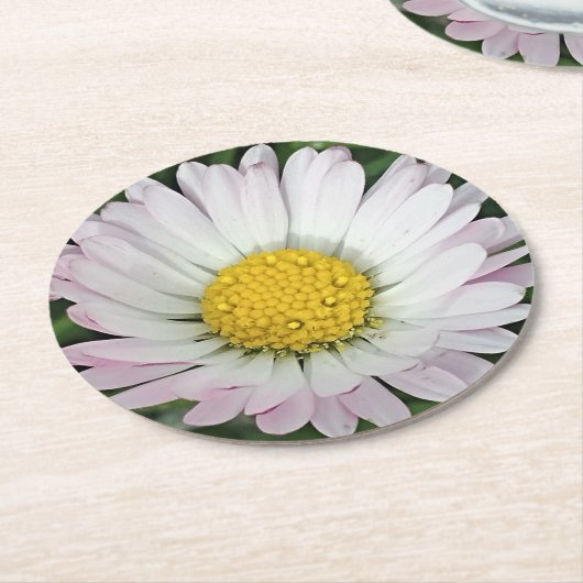  madeliefje ronde kartonnen onderzetter (Gebogen)