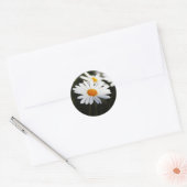 Madeliefje Ronde Sticker (Envelop)