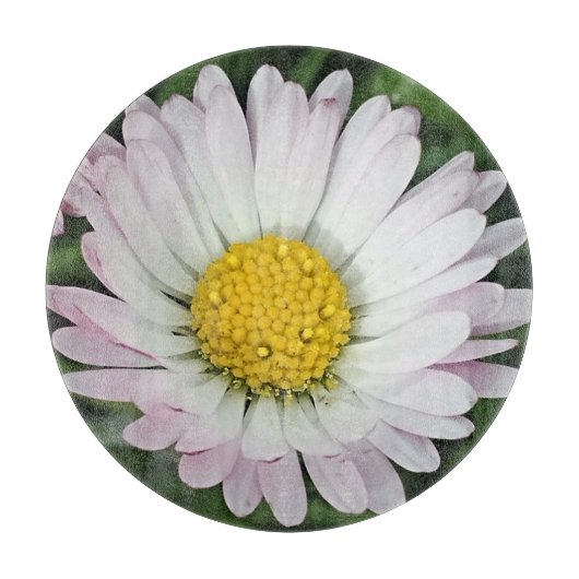  madeliefje snijplank (Voorkant)