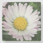  madeliefje stenen onderzetter (Voorkant)