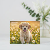 Madeliefje Symboliek Briefkaart (Staand voorkant)