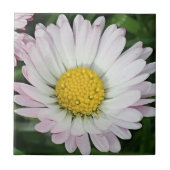 madeliefje tegeltje (Voorkant)