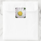  madeliefje vierkante sticker (Tas)