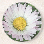  madeliefje zandsteen onderzetter (Voorkant)