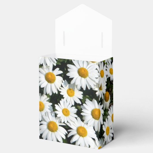 Madeliefje Zonneschijn Favor Doos Bedankdoosjes (Geopend)