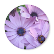 Madeliefjes Bloemen 1 Moederdag Cadeaus Kaarten Mo