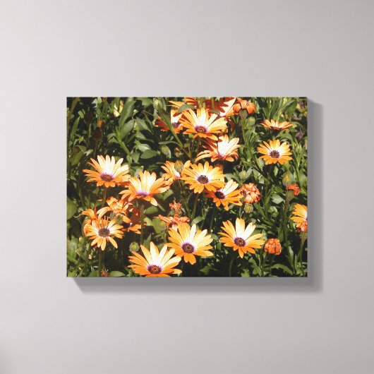 madeliefjes canvas afdruk (Voorkant)