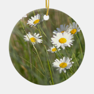 Madeliefjes Foto Ornament