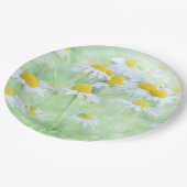 madeliefjes in een veld papieren bordje (Gekanteld)