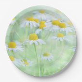 madeliefjes in een veld papieren bordje (Voorkant)