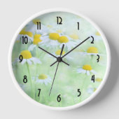 madeliefjes in een veldfoto (Voorkant)