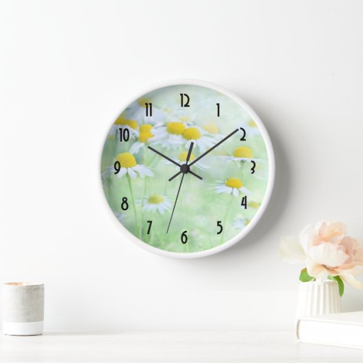 madeliefjes in een veldfoto (Huis)