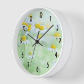 madeliefjes in een veldfoto (Hoek)