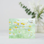  madeliefjes in een veldfoto briefkaart (Staand voorkant)