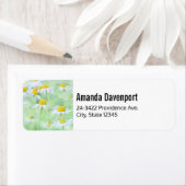  madeliefjes in een veldfoto etiket (Insitu)