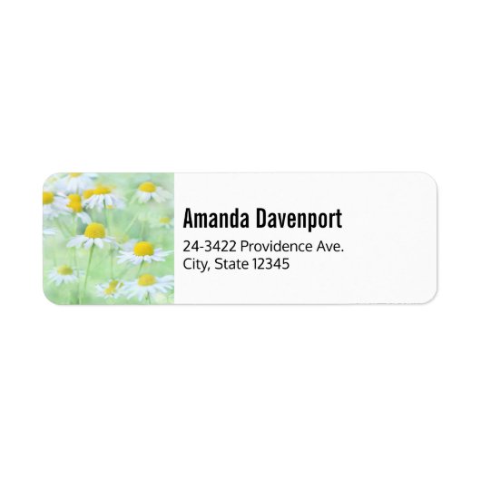  madeliefjes in een veldfoto etiket (Voorkant)