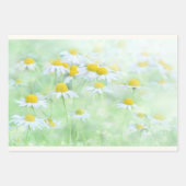  madeliefjes in een veldfoto inpakpapier vel (Voorkant 3)