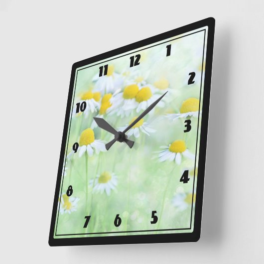  madeliefjes in een veldfoto op een vierkante klok (Hoek)