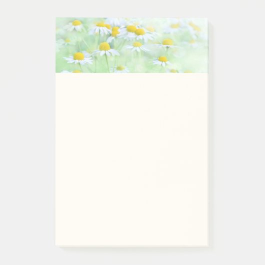  madeliefjes in een veldfoto post-it® notes (Voorkant)