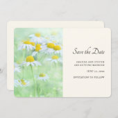  madeliefjes in een veldfoto save the date (Voorkant / Achterkant)