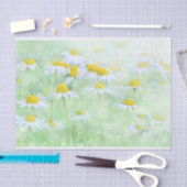  madeliefjes in een veldfoto tissuepapier (Craft)