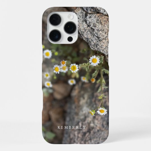 Madeliefjes in Rotsen Custom iPhone Hoesje iPhone 16 Pro Max Hoesje (Achterkant)