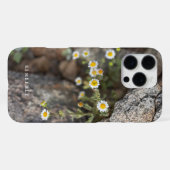 Madeliefjes in Rotsen Custom iPhone Hoesje iPhone 16 Pro Max Hoesje (Achterkant horizontaal)