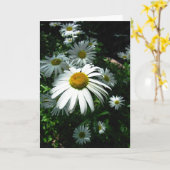 Madeliefjes Kaart (Gele Bloem)