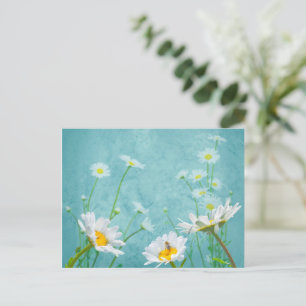 Madeliefjes op een blauwe achtergrond briefkaart
