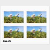 Madeliefjes plukkende fubby's.     rechthoekige sticker (Vel)