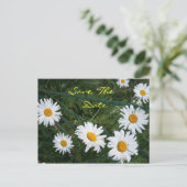 Madeliefjes Postkaart Aankondigingskaart (Staand voorkant)