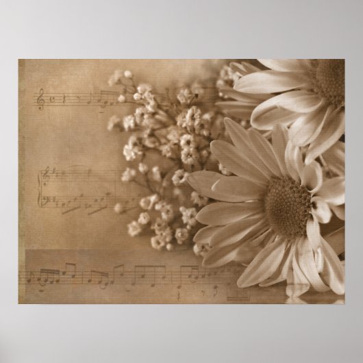 Madeliefjesboeket over muziek poster (Voorkant)
