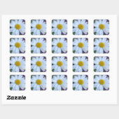 Madeliefjesstickers Vierkante Sticker (Vel)