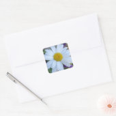 Madeliefjesstickers Vierkante Sticker (Envelop)