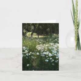 Madeliefjesveld Persoonlijke Wenskaart Kaart