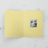 Madeline op de speldenkaart kaart (Binnen)