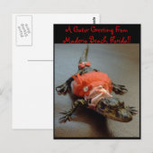 Maderia Beach, Florida Gator Greeting Post Card Briefkaart (Voorkant / Achterkant)