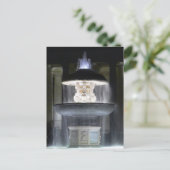 Maderno's fontein, St. Peter's Square - briefkaart (Staand voorkant)