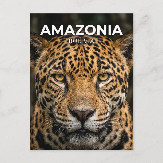 Madidi Nationaal Park Bolivia Briefkaart (Voorkant)