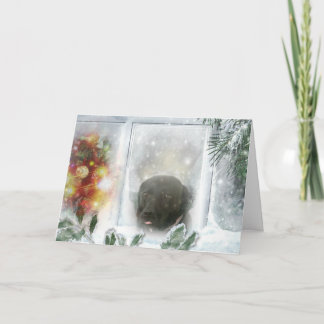 Madison de zwarte Labrador Kaart