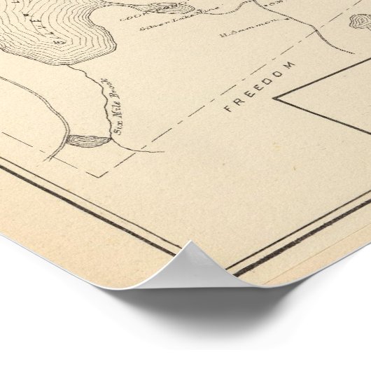 Madison, Effingham Poster (Hoek)