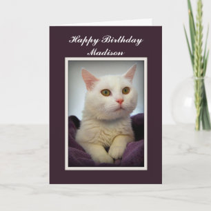 Madison Happy Birthday White Cat Kaart