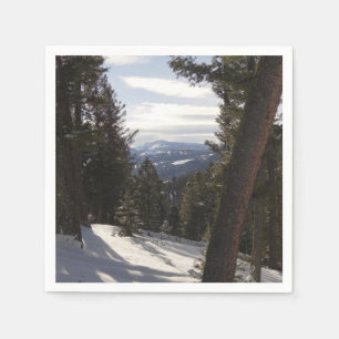 Madison Mountains in de winter in Montana Servet