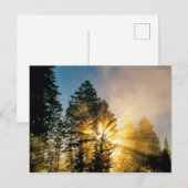 Madison River | Nationaal park Yellowstone Briefkaart (Voorkant / Achterkant)