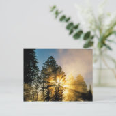 Madison River | Nationaal park Yellowstone Briefkaart (Staand voorkant)