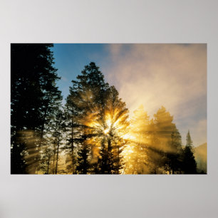 Madison River Nationaal park Yellowstone Poster
