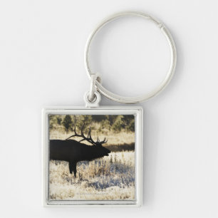 Madison River, Yellowstone NP, Wyoming, Verenigde Sleutelhanger