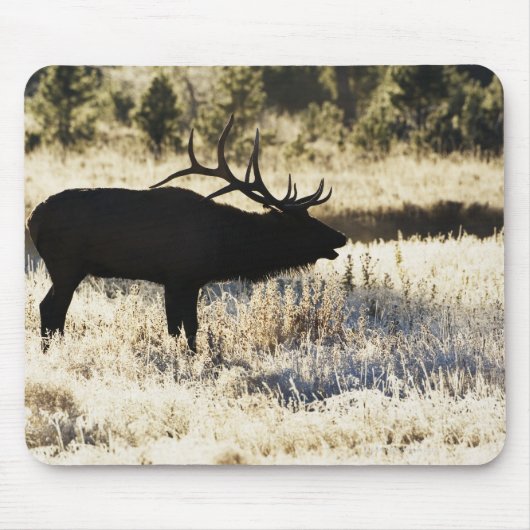 Madison River, Yellowstone NP, Wyoming, VS Muismat (Voorkant)